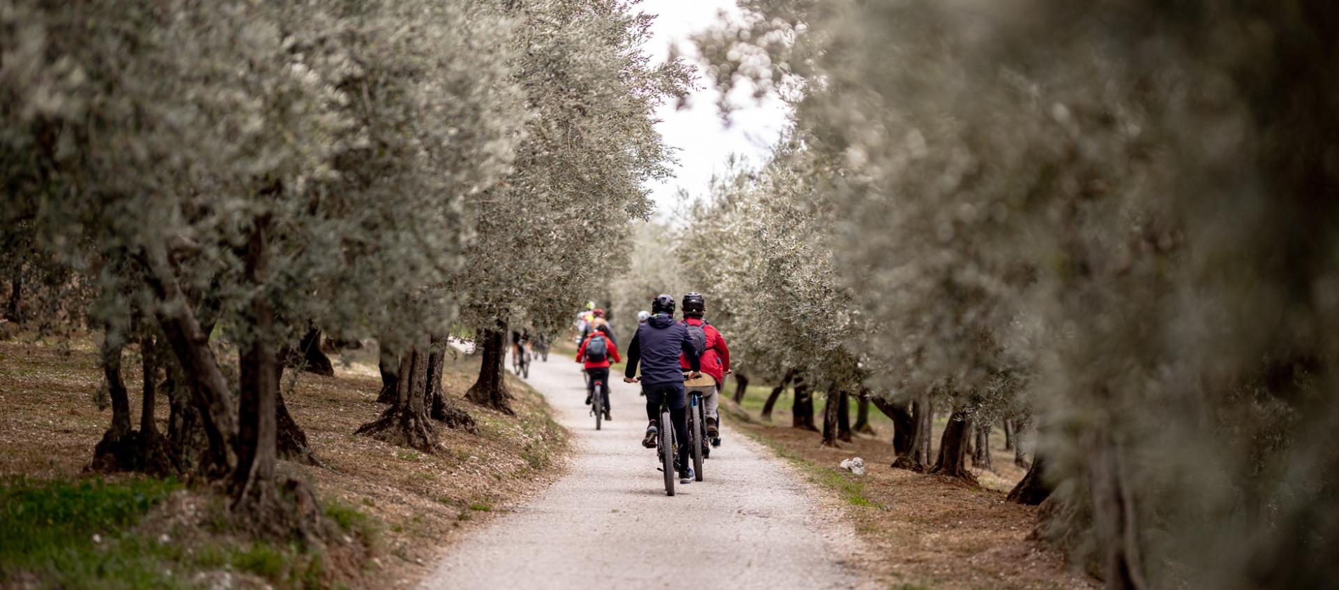 Itinéraires à Vélo