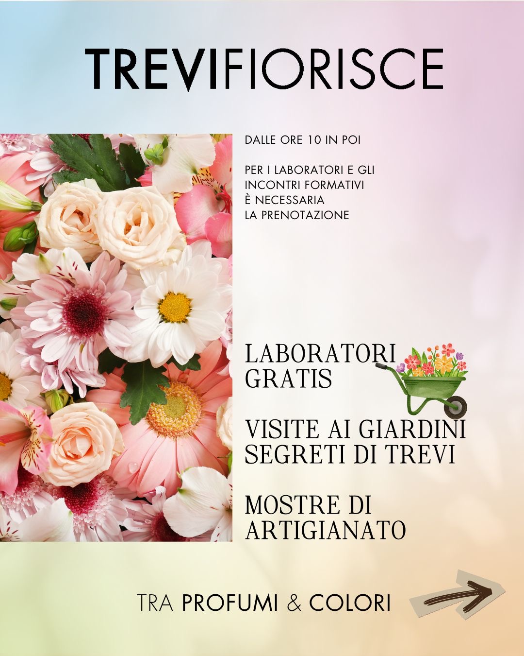Programme of Trevi Fiorisce in Trevi
