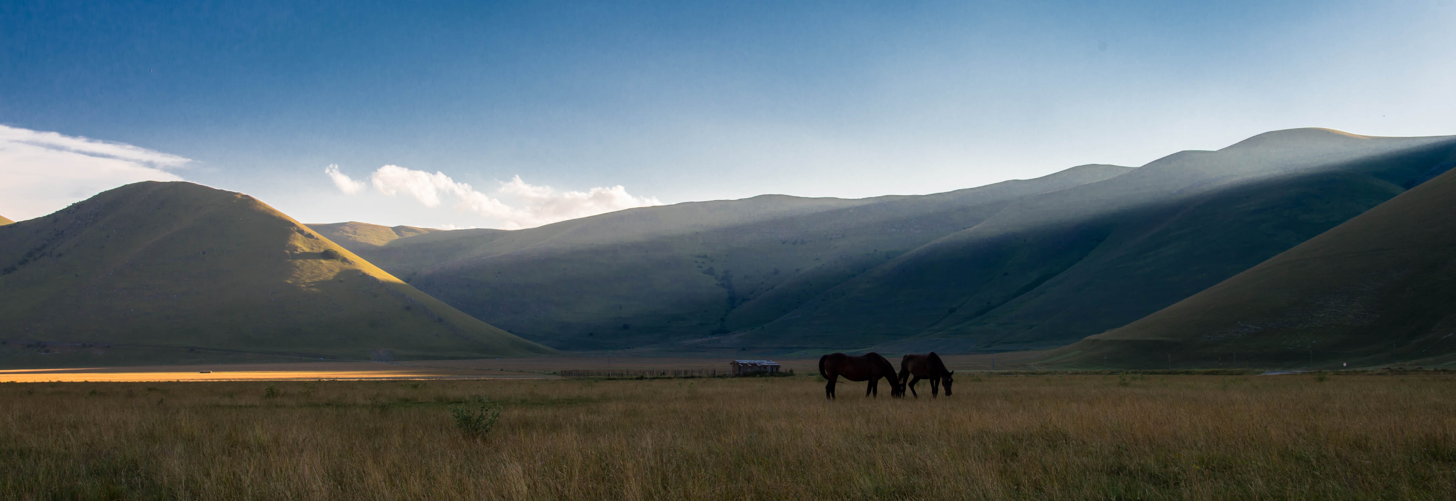 CAMPERS AND CARAVANS
