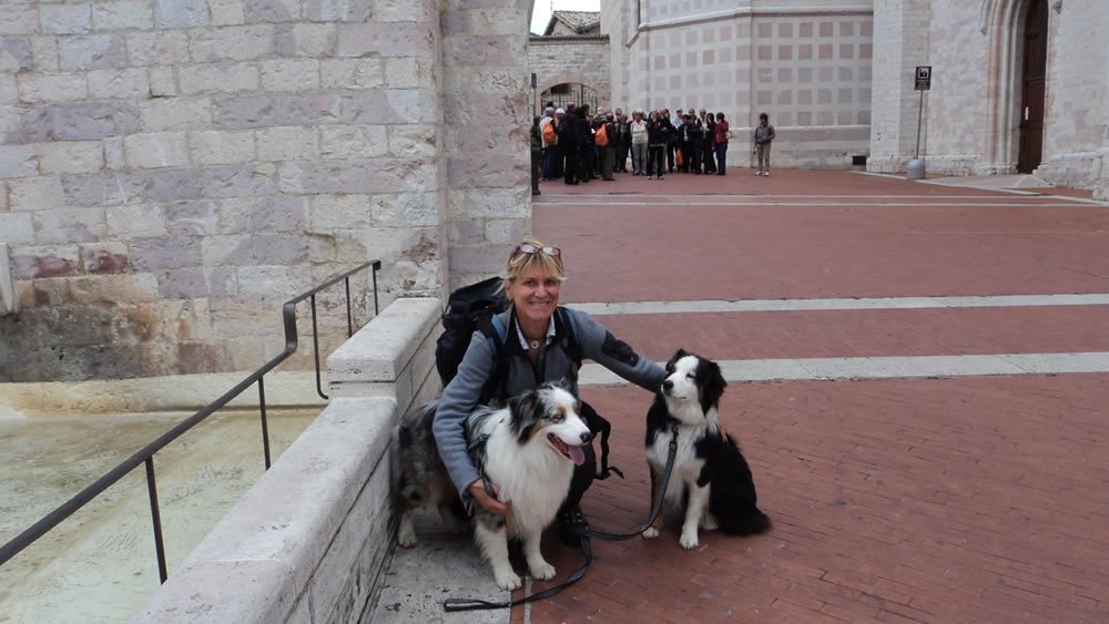 Francis' route with your dog