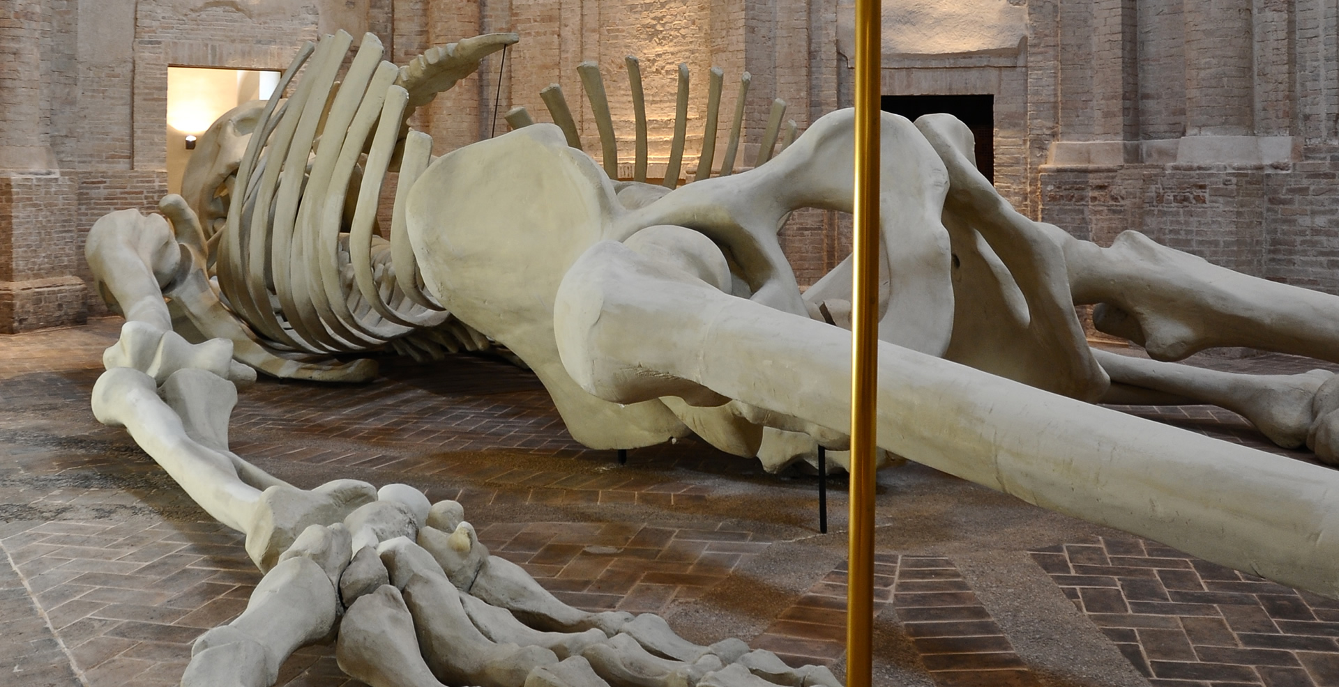 La Calamita Cosmica (The Cosmic Magnet)