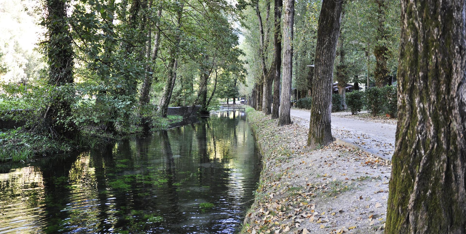 The Sources of Valcasana