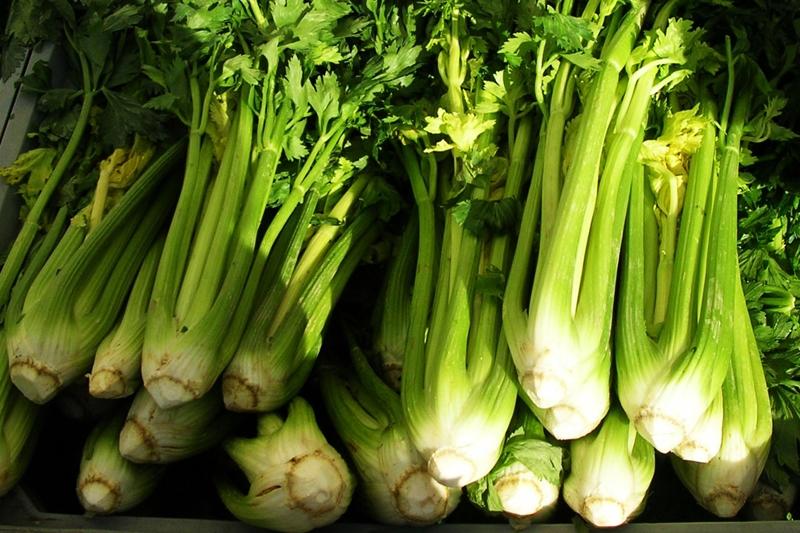 Trevi black celery