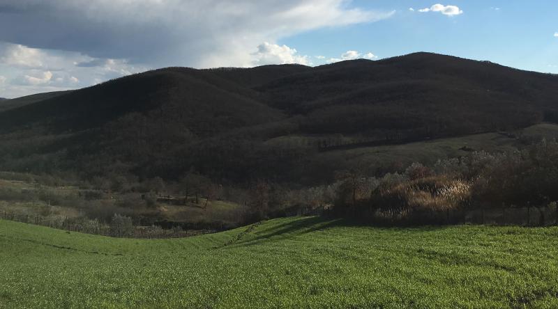 Parco di Villalba