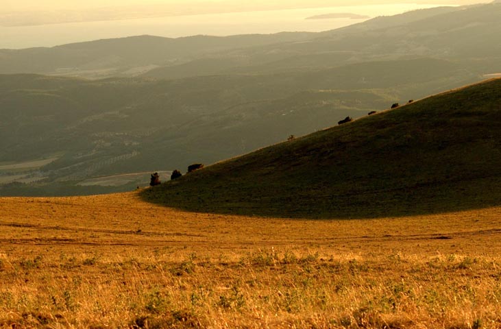 Der Naturpark des Monte Tezio
