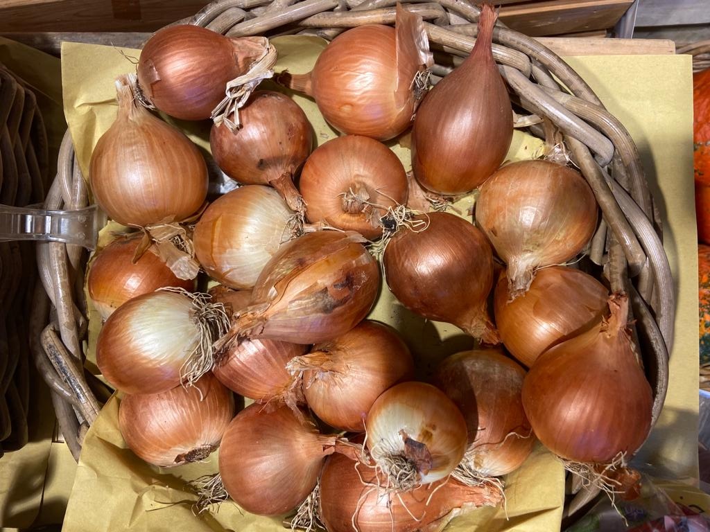 Cipolline di Cannara in agrodolce