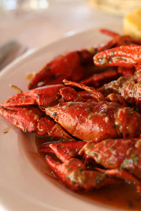 Valnerina Shrimp in the pan