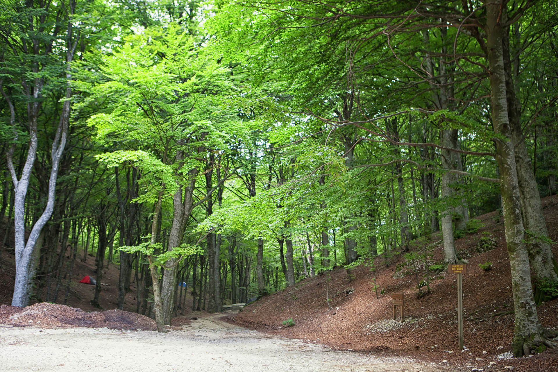 Monte cucco