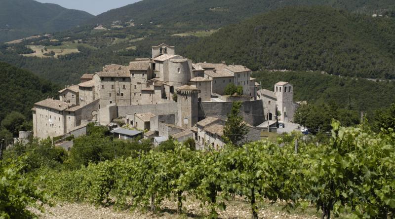Panoramic view of Vallo di Nera, an Umbrian village with stone houses, vineyards in the foreground, and green hills in the background.