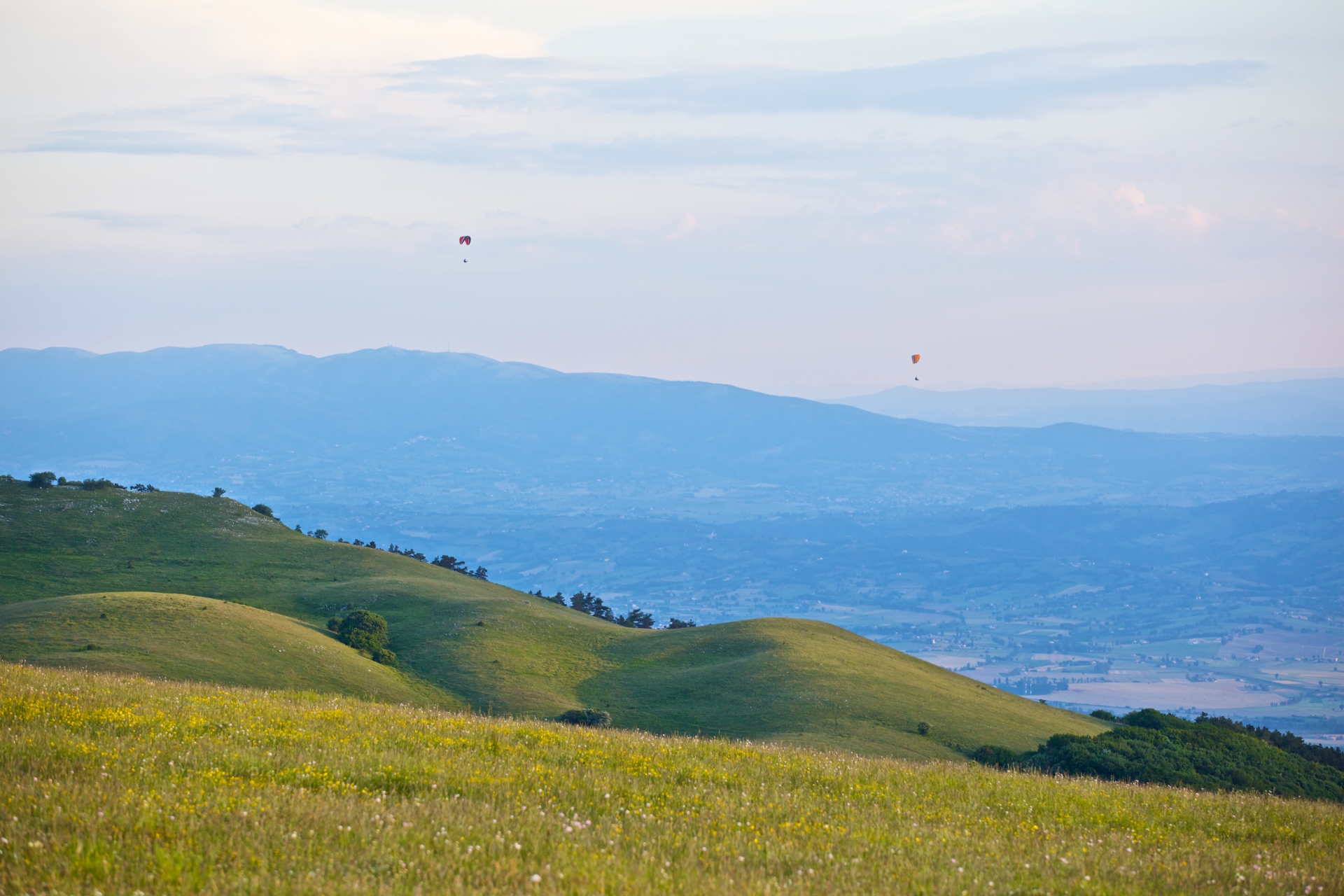 Immagine: Parco del Monte Subasio