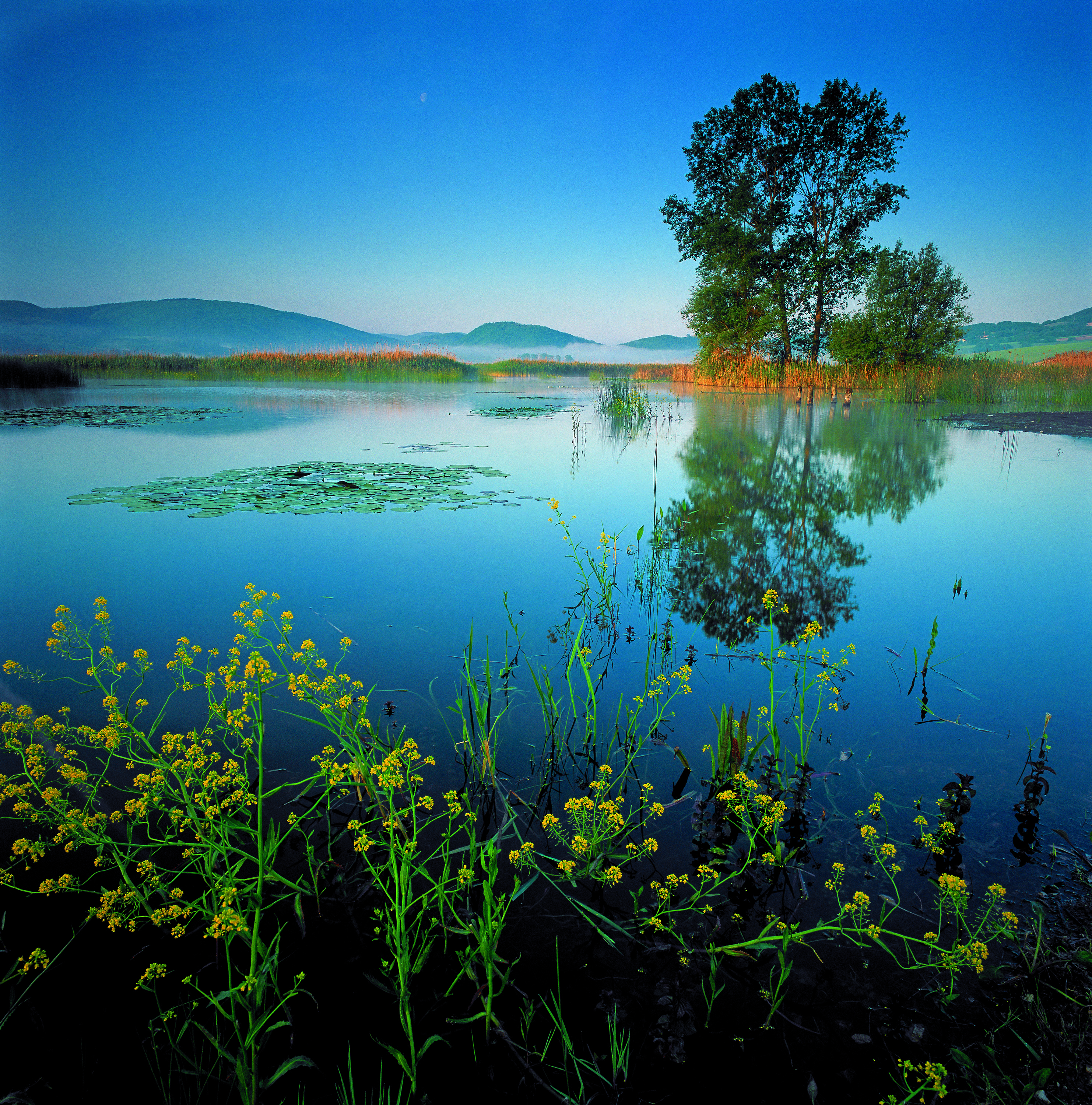 Birdwatching nel Parco di Colfiorito