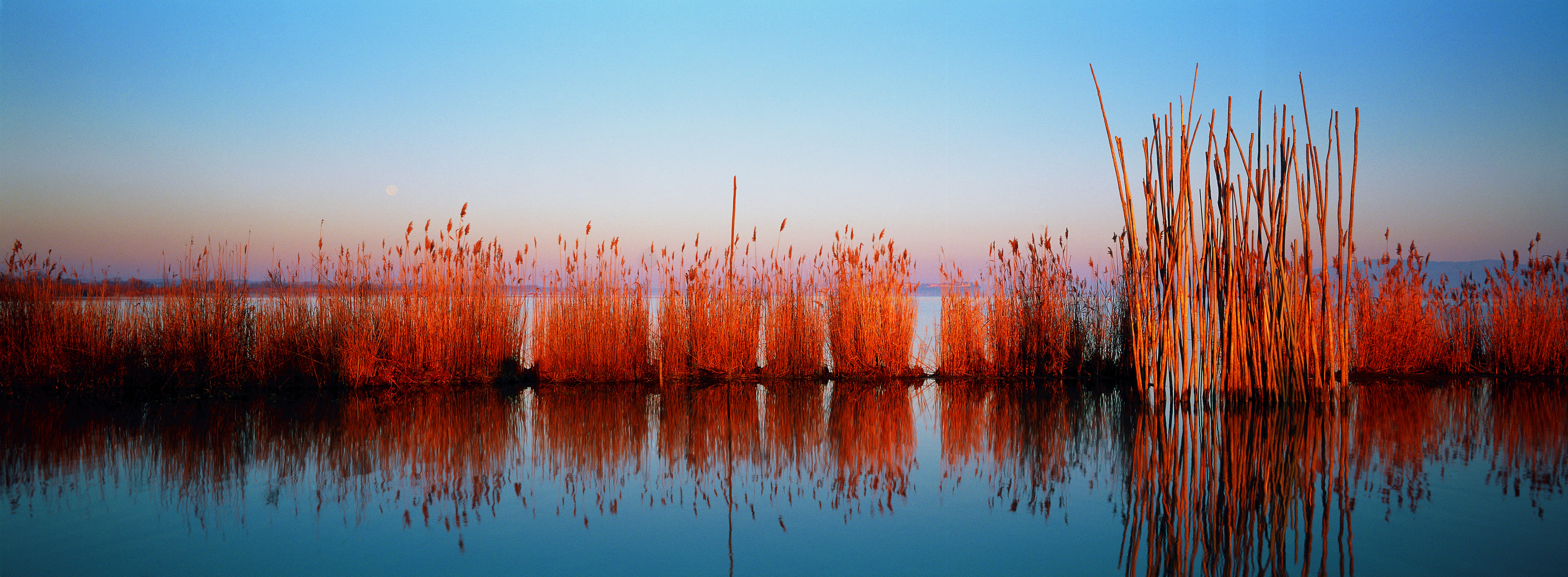 Birdwatching at Lake Trasimeno