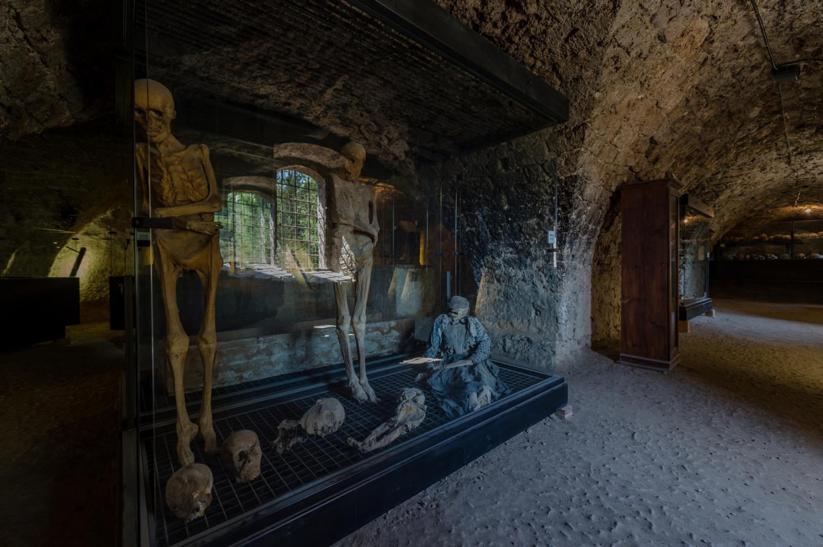 Exhibition room of the Ferentillo Mummy Museum, with naturally mummified bodies displayed in the underground church of Santo Stefano.