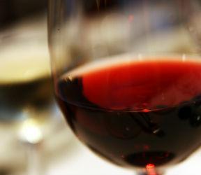 Gamay (o Gamay del Trasimeno)