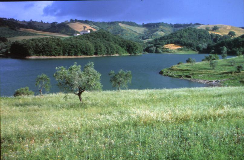Vini Doc Lago di Corbara