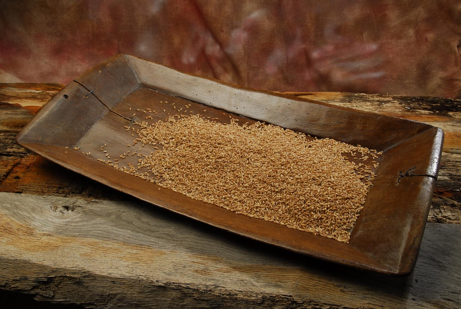 Spelt of Monteleone di Spoleto PDO