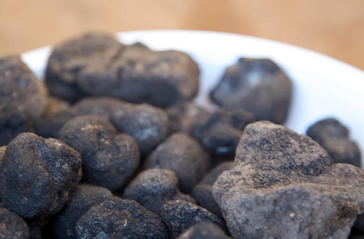 Black truffles with an earthy patina, an irregular and wrinkled surface, arranged on a white plate.