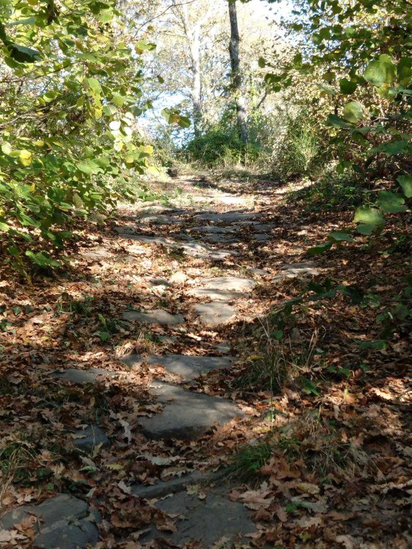 La nécropole du Lauscello