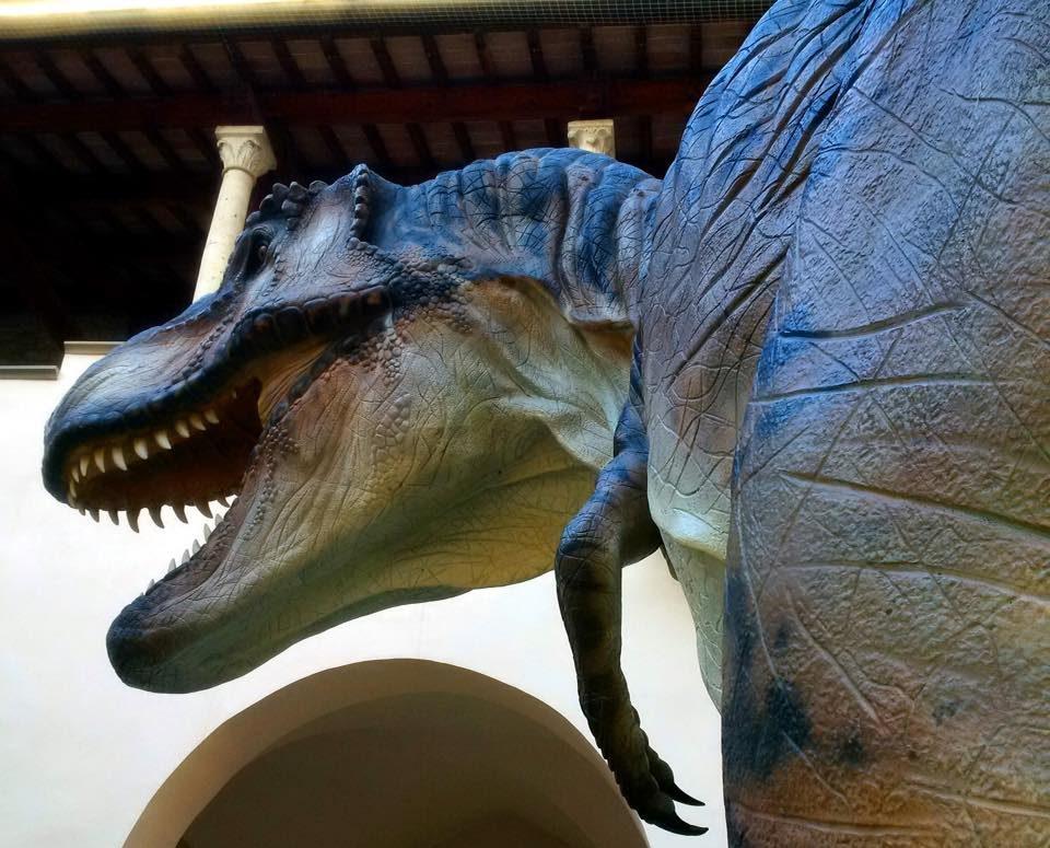 Musei in Umbria a misura di bambino