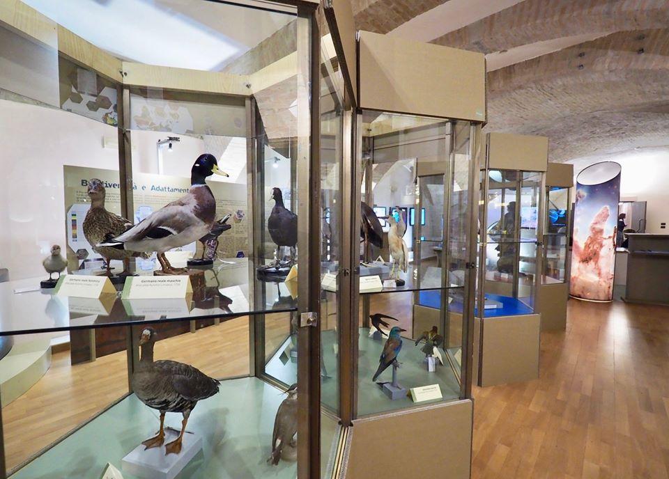 Musei in Umbria a misura di bambino