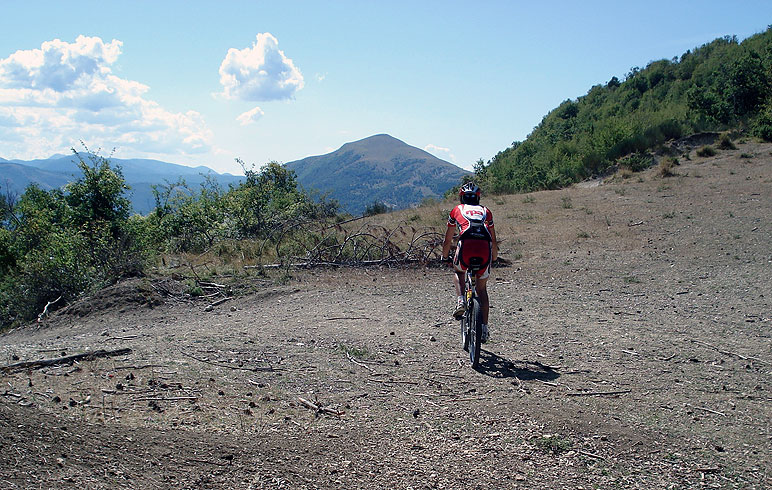 Die Stadt der 2 Welten und der heilige Wald von Monteluco