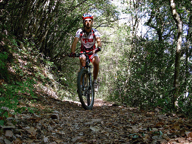 Spoleto and the Bosco Sacro (sacred wood) of Monteluco