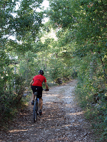 Cascia: through fields and woods in the hills of Santa Rita