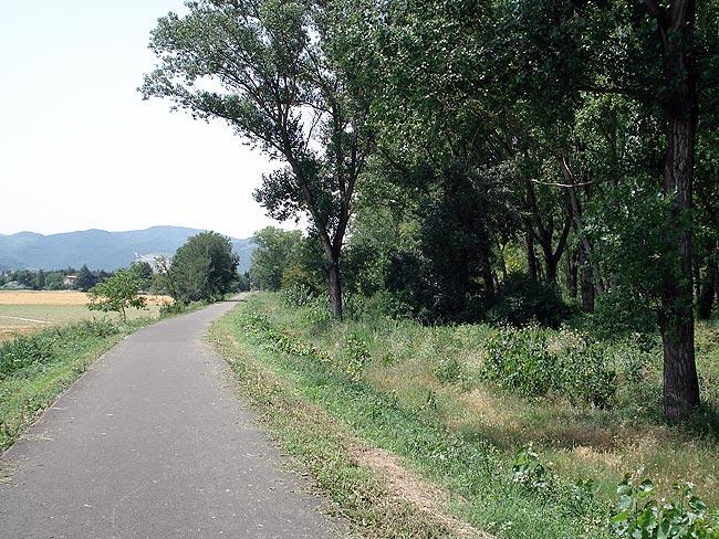 Entre Trevi et Spoleto sur la piste cyclable de la Vallée de l’Ombrie