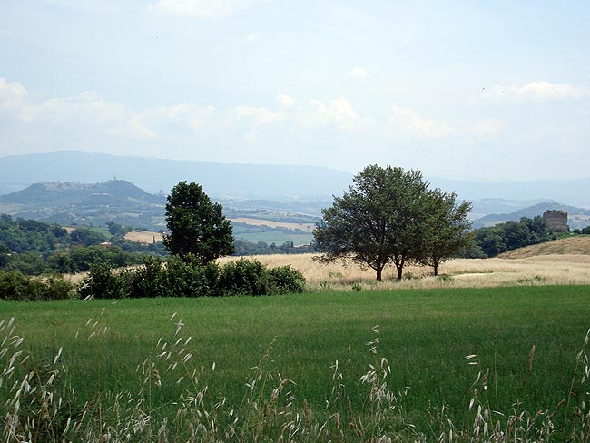 From Orvieto around Lake Corbara to Todi