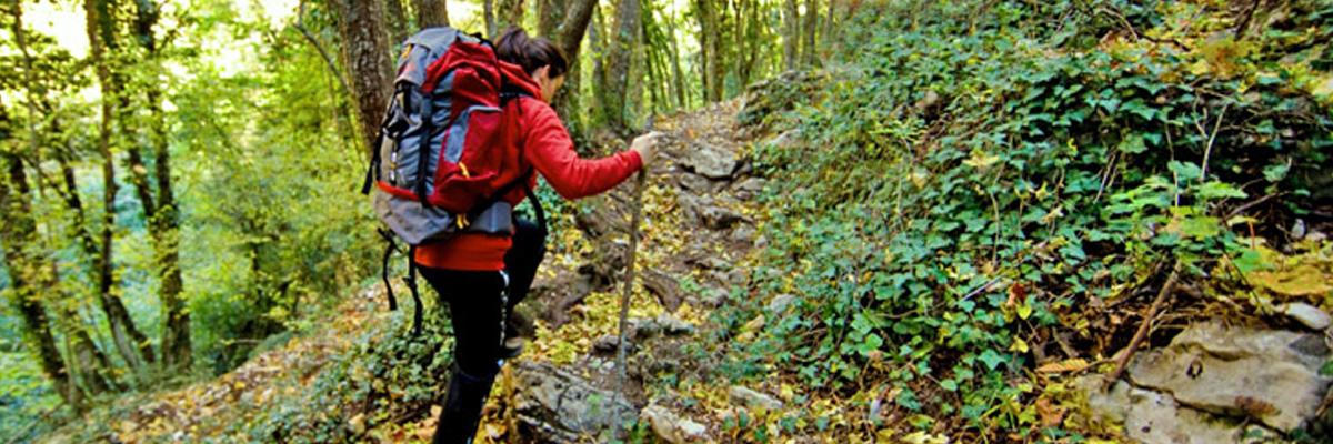 Titolo: TREKKING NATURALISTICO