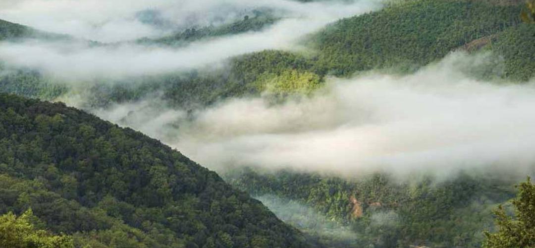 Titolo: Riserva mondiale della Biosfera Unesco del Monte Peglia