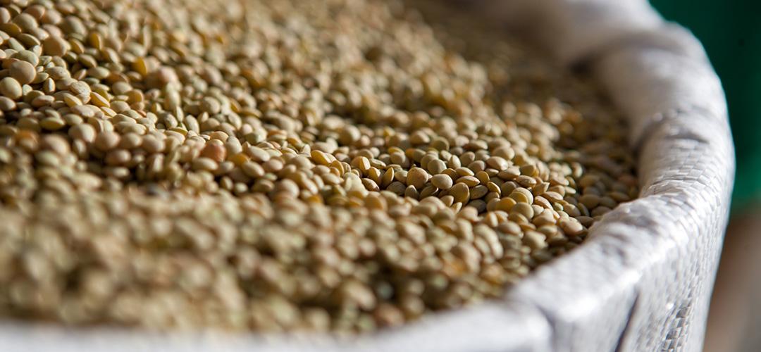 Titolo: Sapori della terra