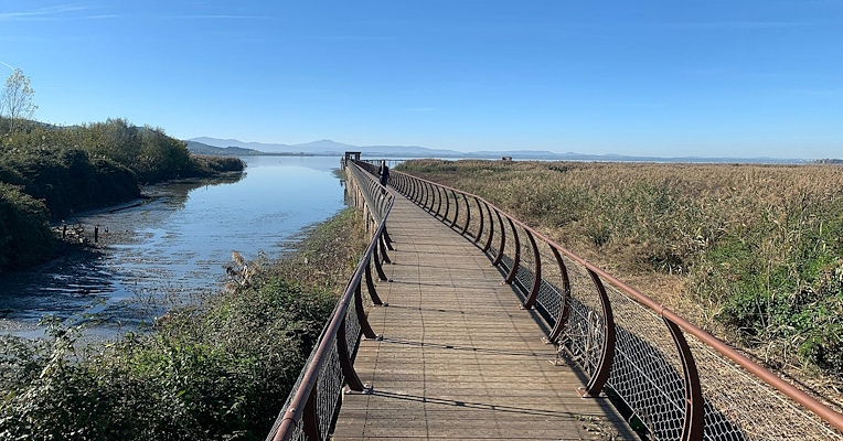 A pedestrian bridge suspended between reeds and expanses of water, with Lake Trasimeno in the background.