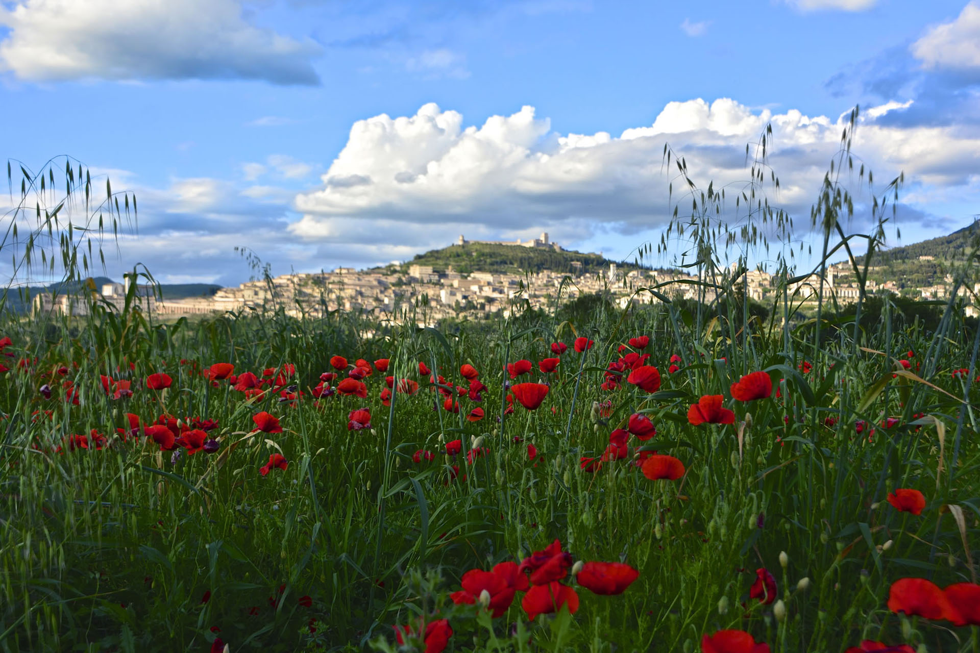 Reise im Glauben: auf dem Pfad des Lichts