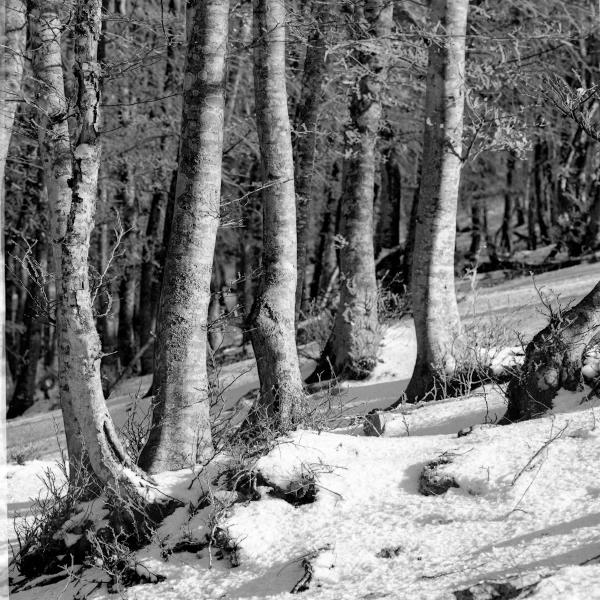 Trekking on the Martani Mountains