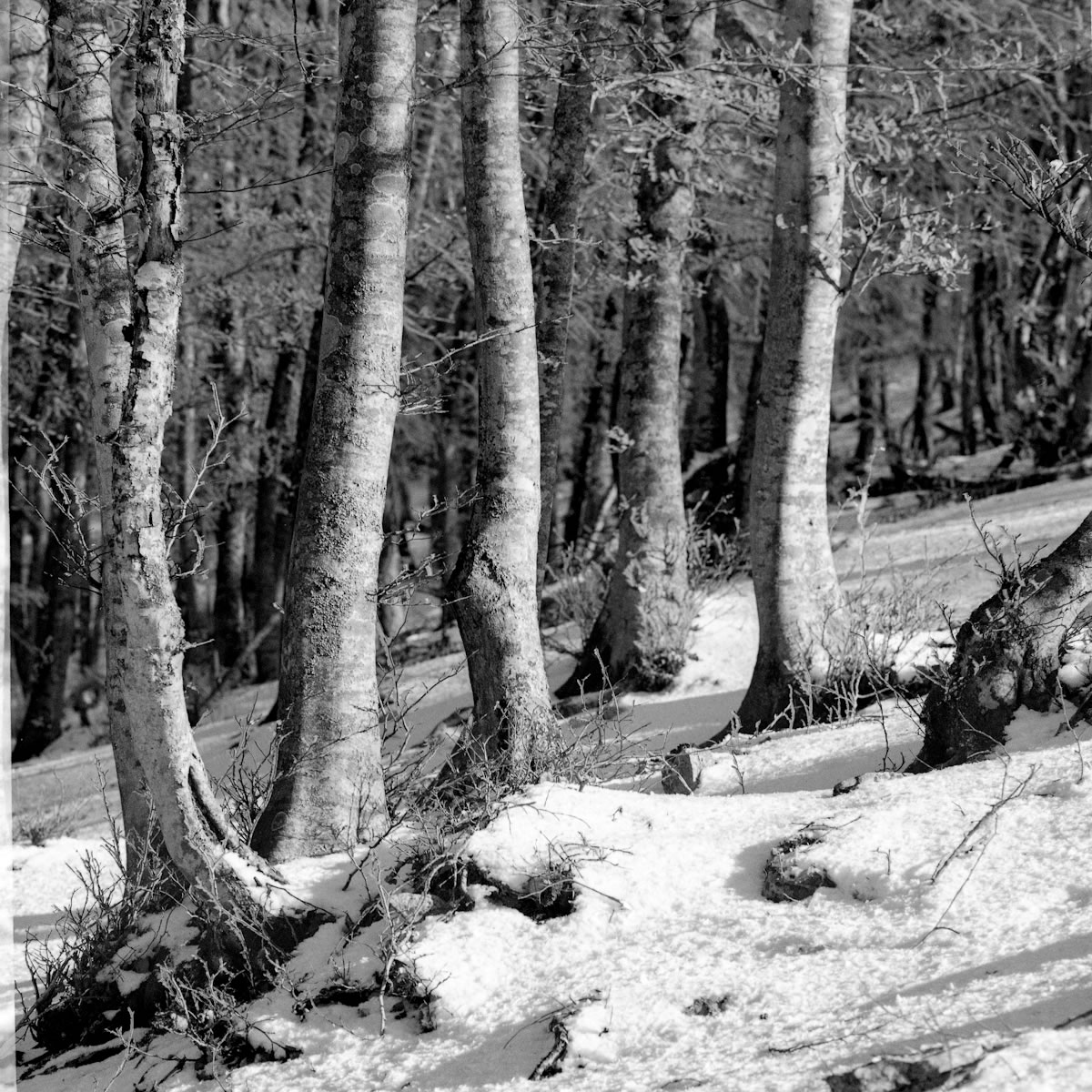 Trekking on the Martani Mountains