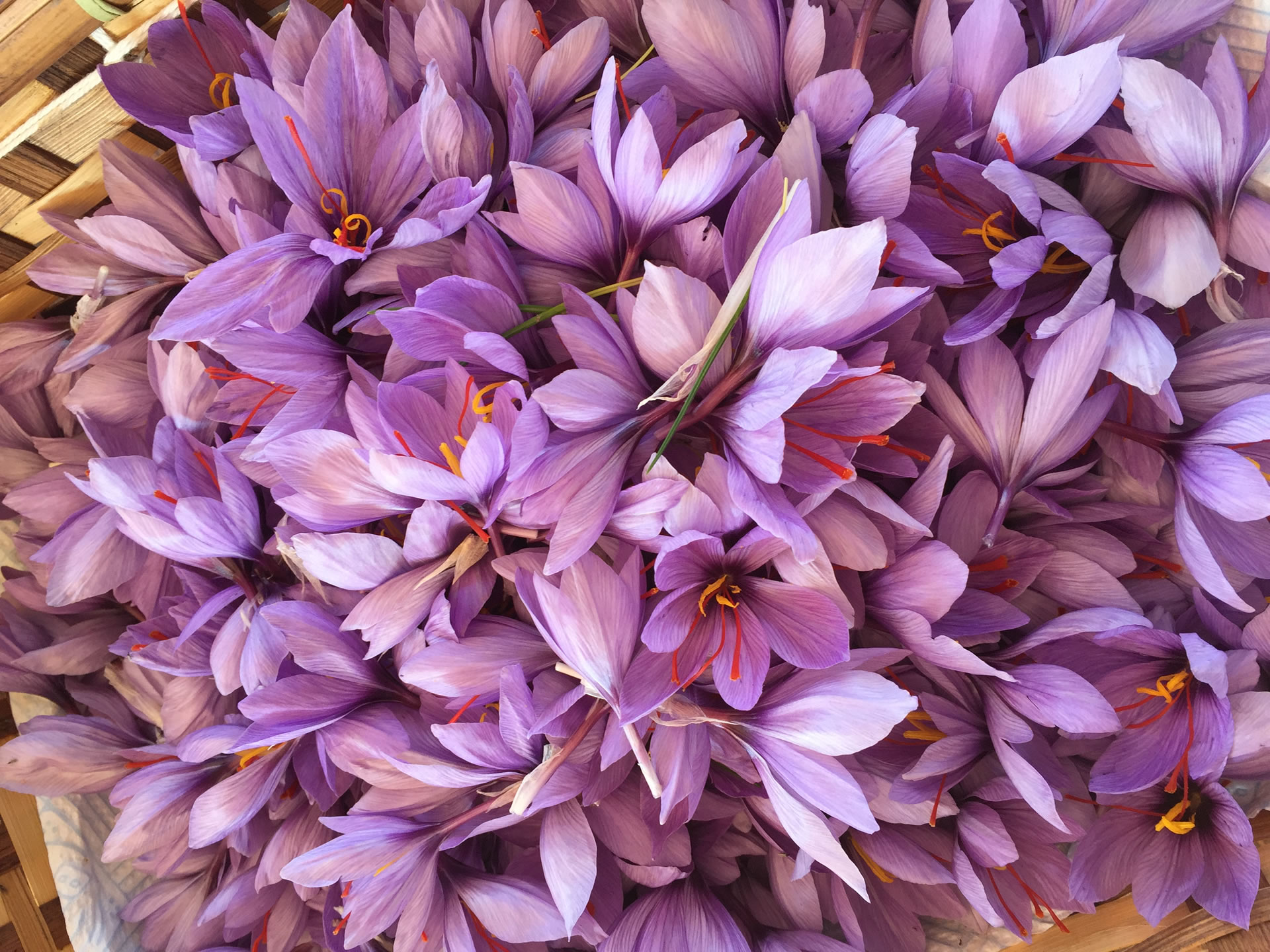 Umbrien: Aromen der Liebe