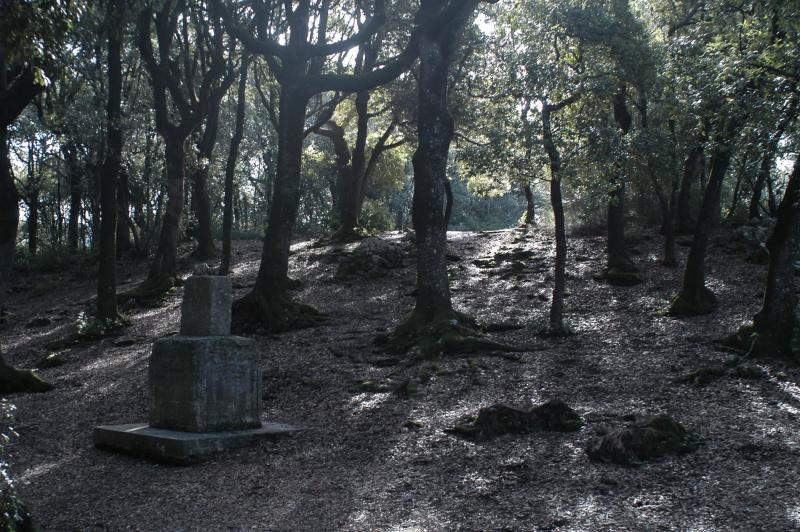 Titolo: Hiking from Spoleto to Monteluco