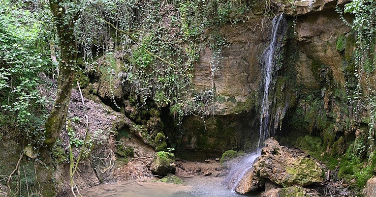 Kleiner Wasserfall, der von einer mit Moos und Vegetation bedeckten Felswand herabfließt und im Wald nahe Castel Rinaldi, Acquasparta, ein klares Becken bildet.