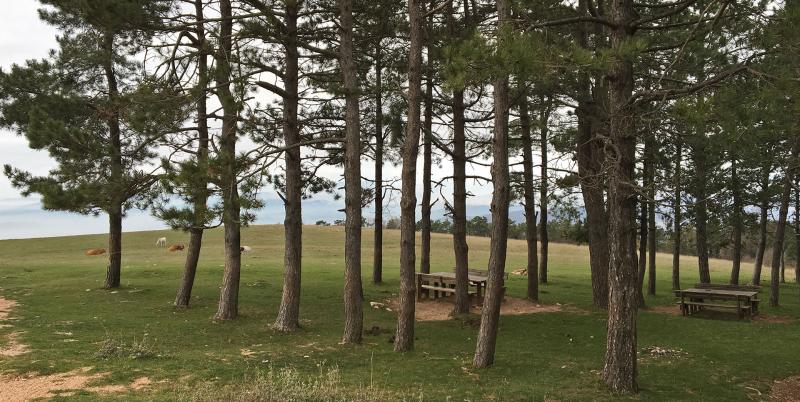 Monte Subasio Park