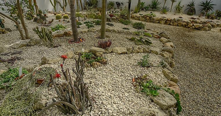 Orto botanico di San Costanzo