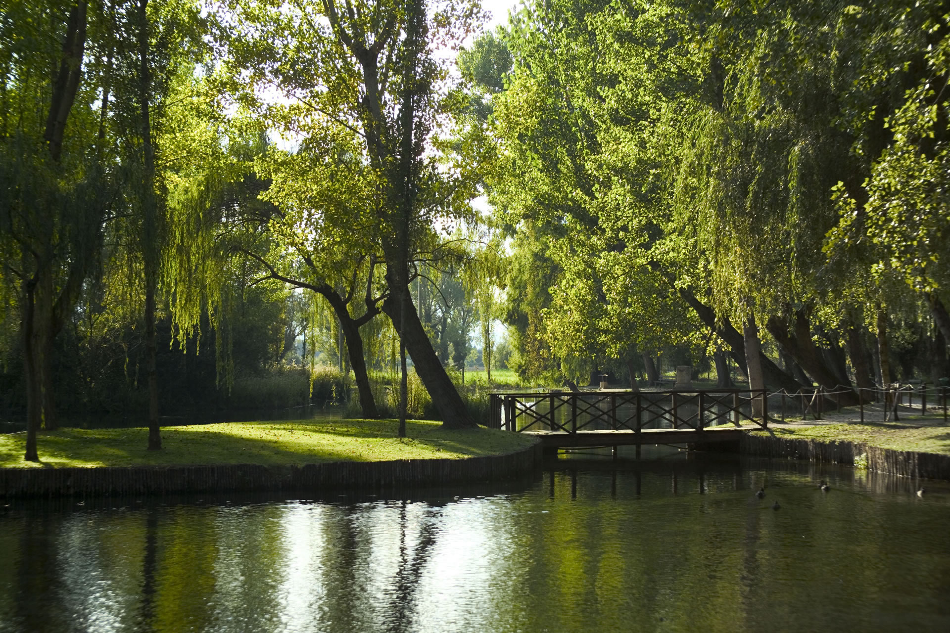 Titolo: The Poets' Springs: from Poreta to Trevi