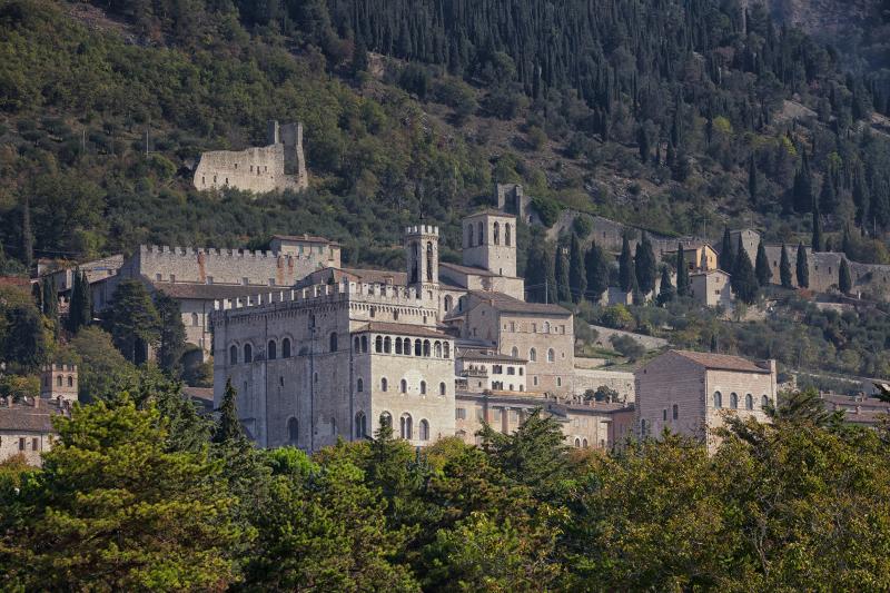 Immagine senza titolo