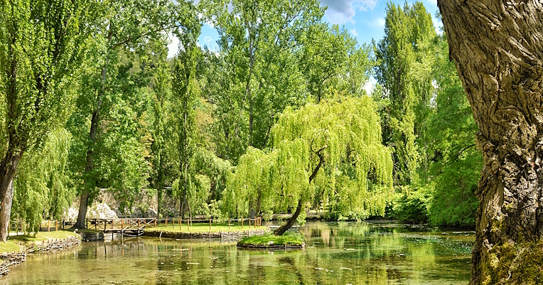 Die Fonti del Clitunno mit ihrem klaren Wasser, in dem sich das Grün der Bäume spiegelt. Eine einsame Trauerweide ragt in der Mitte hervor