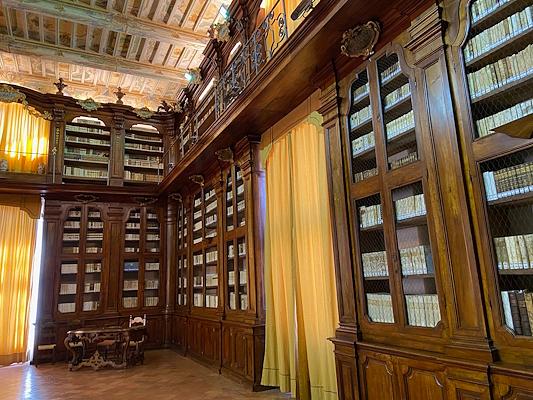 A historic library with intricately carved wooden shelves, ancient books, a frescoed ceiling, and large windows with golden curtains.