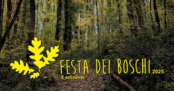 Affiche de la Festa dei Boschi