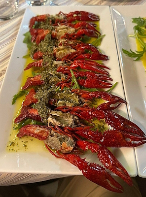 Crevettes servies avec sauce verte sur lit de roquette et huile d’olive vierge extra, dressées sur un plat rectangulaire.