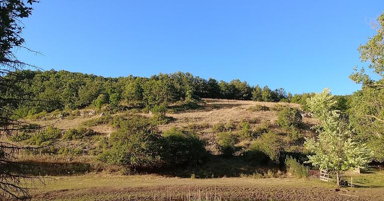 Panorama of a tree-covered hill with a clear sky at sunset, seen from the Prati di Stroncone