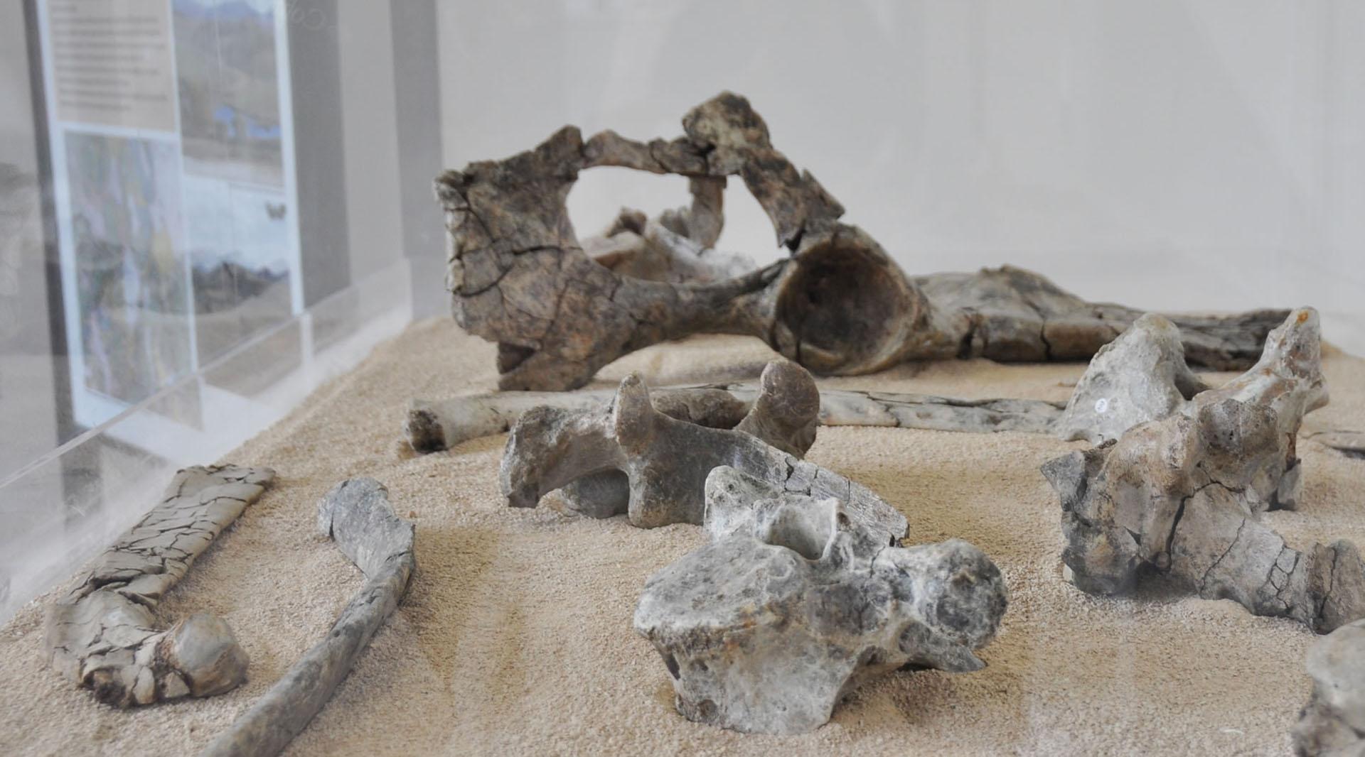 Museo Archeologico Colfiorito Foligno