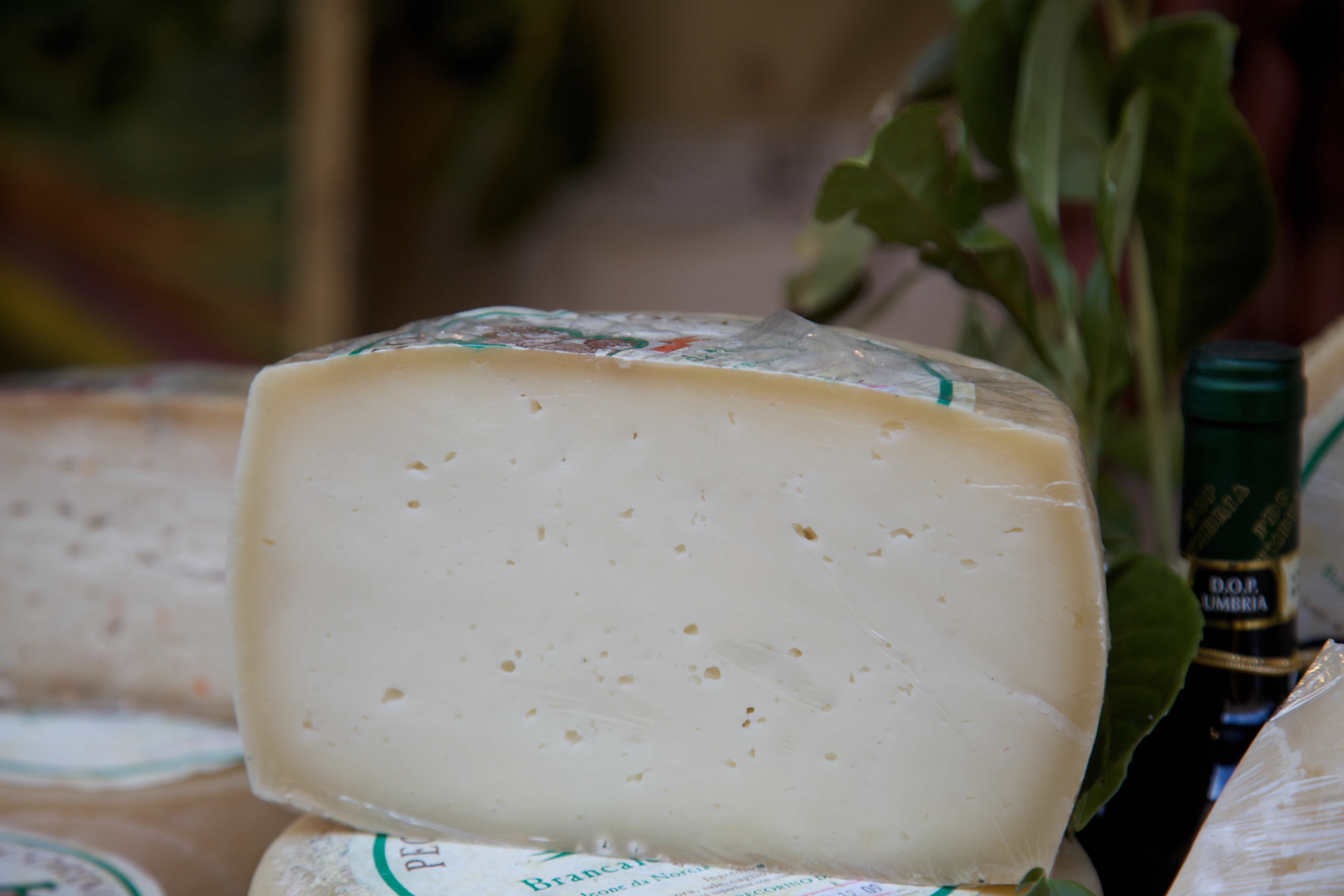 Shepherd’s Pecorino di Norcia